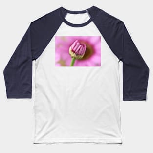 Argyranthemum Grandaisy Pink Marguerite Grandaisy Series Baseball T-Shirt